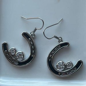 Montana Silver Smith Earrings